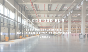 Read more about the article 